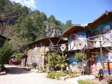 BUSINESS YOGA im Baumhaus 